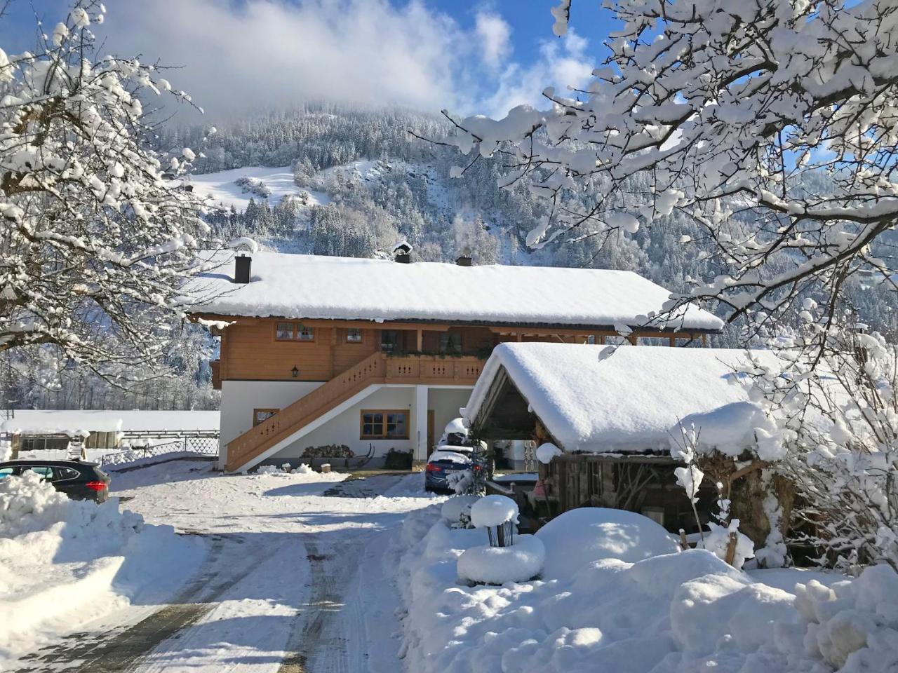 Martlerhof Apartment Aschau Im Zillertal Exterior photo